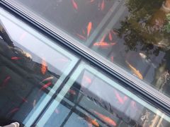 -园林格兰云天大酒店-太极名厨中餐厅