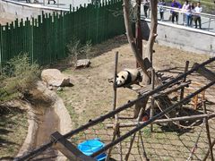 -沈阳森林动物园