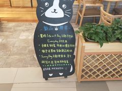 -猫的天空之城概念书店(印象城购物中心店)