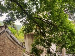 -潭柘寺景区