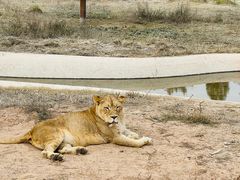 -鄂尔多斯野生动物园
