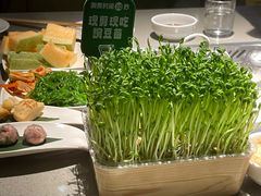 -海底捞火锅(宇飞大厦店)