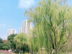 -白塘生态植物园