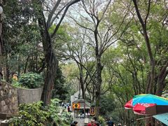 -狼山风景名胜区