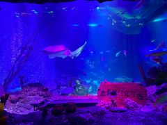 -沈阳海洋探索中心