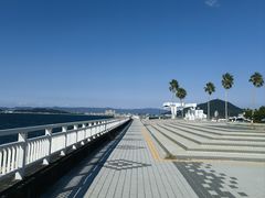 -黑潮市场