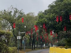 -顺峰山公园