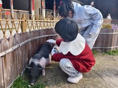 -乌村