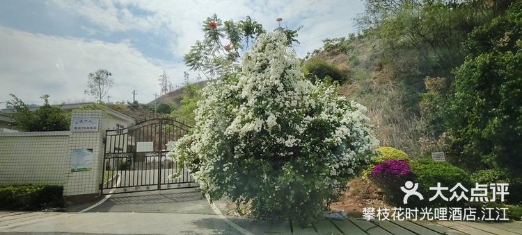 攀枝花普达阳光国际康养度假中心约会首选