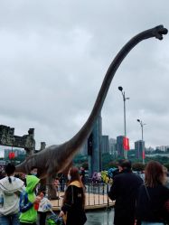 -恐龙探索乐园(磁器口店)