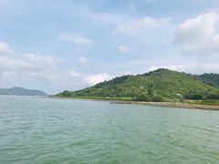 -盐洲岛