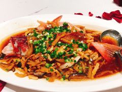东星斑-皇朝会.经典传统粤菜(外滩店)