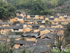 -杨家堂村