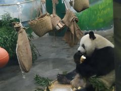 -无锡动物园·太湖欢乐园