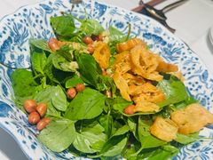 大盘荆芥拌沙地酥瓜-阿五黄河大鲤鱼(纬三路店)