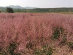 -红石沟生态休闲农场