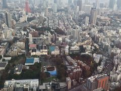 -六本木新城展望台(东京城市景观)