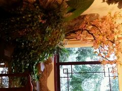 android_upload_pic-钦善斋(武侯祠店)