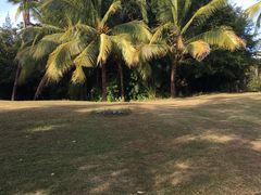 -三亚珠江南田温泉度假区