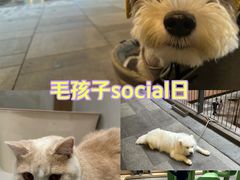 -瑞虹新天地月亮湾