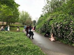 -白鹭湾湿地公园