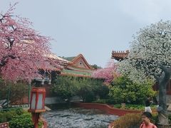 -珠海圆明新园