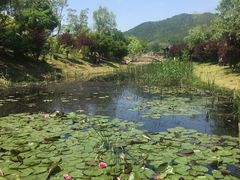 -石塘人家
