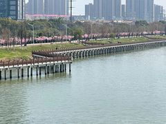 -艾溪湖湿地公园