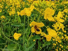 -中国天府农业博览园