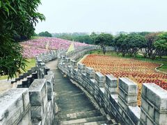 -松山湖梦幻百花洲