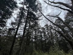 -神农架景区