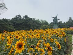 -沈阳植物园