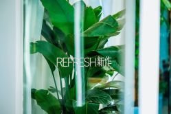 -REFRESH