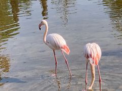 -南京金牛湖风景区