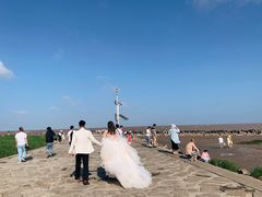 -南汇嘴观海公园