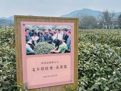 -中国茶叶博物馆(双峰馆区)