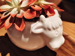 -FAT COW(静安寺店)