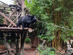 -长鹿旅游休博园