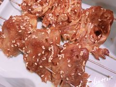 -邢氏老太太烤串(北兴街店)