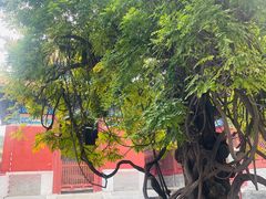 -北京国子监胡同
