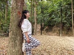 -火炉山森林公园