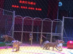 -西安秦岭野生动物园