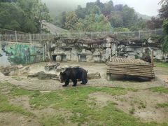 -黔灵山公园