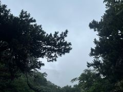 -大芦花风景区