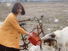 -喜杨洋草莓采摘园