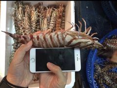 -凯华海鲜火锅·传承三十六年