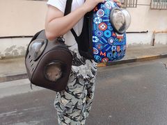 -e嘉宠物店(北大街店)