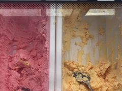 -我们家韩国烤肉8号店(郫都店)