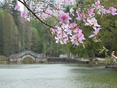 -中国科学院华南植物园
