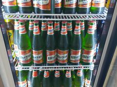 -民族烤羊·烤羊肉串·烤羊排(南城店)